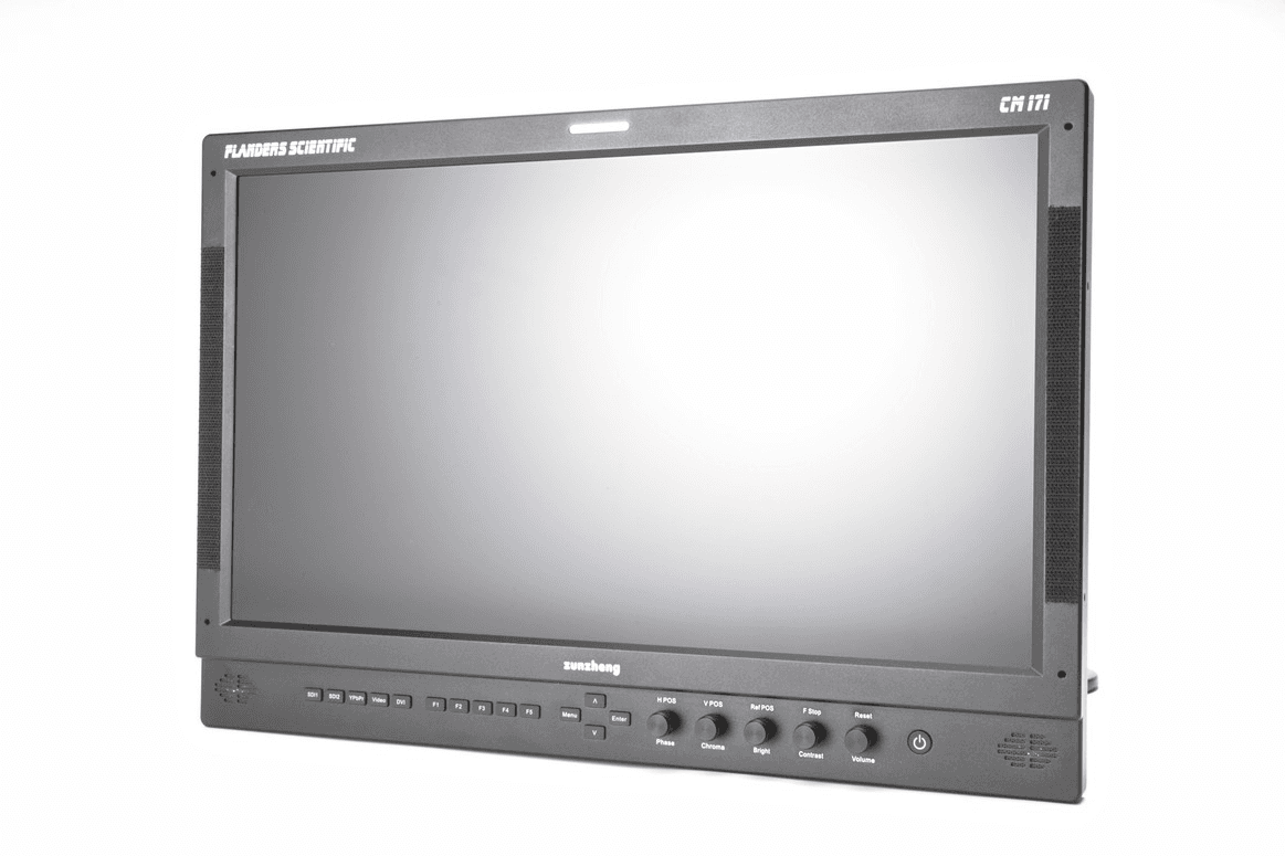 Flanders FSI 21" Monitor